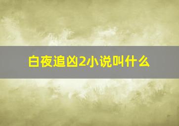 白夜追凶2小说叫什么