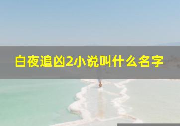 白夜追凶2小说叫什么名字