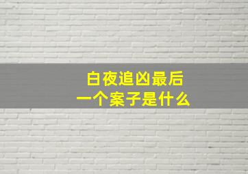 白夜追凶最后一个案子是什么