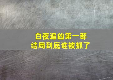 白夜追凶第一部结局到底谁被抓了