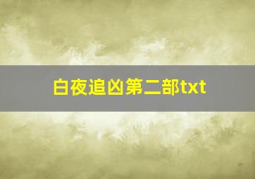 白夜追凶第二部txt