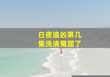 白夜追凶第几集洗清冤屈了