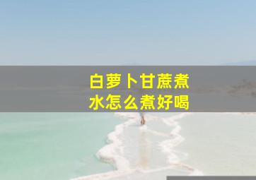 白萝卜甘蔗煮水怎么煮好喝