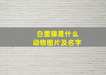 白面獐是什么动物图片及名字