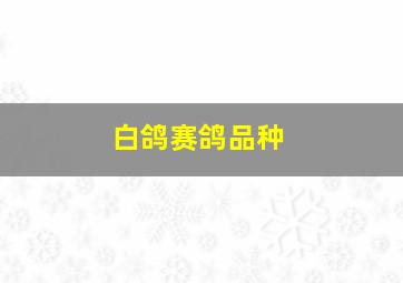 白鸽赛鸽品种