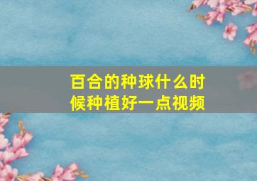 百合的种球什么时候种植好一点视频