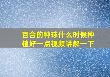 百合的种球什么时候种植好一点视频讲解一下