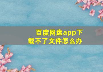 百度网盘app下载不了文件怎么办