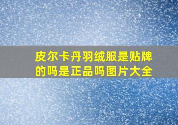 皮尔卡丹羽绒服是贴牌的吗是正品吗图片大全