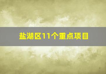 盐湖区11个重点项目