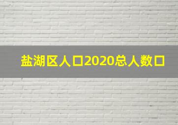 盐湖区人口2020总人数口