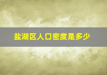 盐湖区人口密度是多少