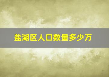 盐湖区人口数量多少万