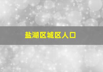 盐湖区城区人口