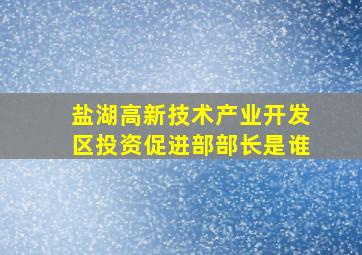 盐湖高新技术产业开发区投资促进部部长是谁