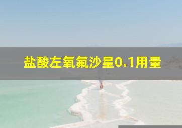 盐酸左氧氟沙星0.1用量