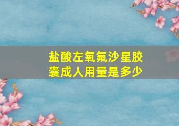 盐酸左氧氟沙星胶囊成人用量是多少