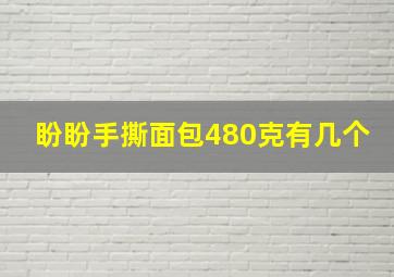 盼盼手撕面包480克有几个