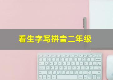 看生字写拼音二年级