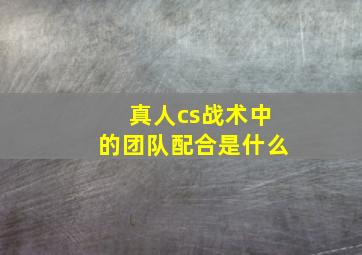 真人cs战术中的团队配合是什么