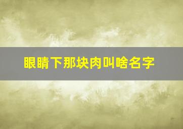 眼睛下那块肉叫啥名字