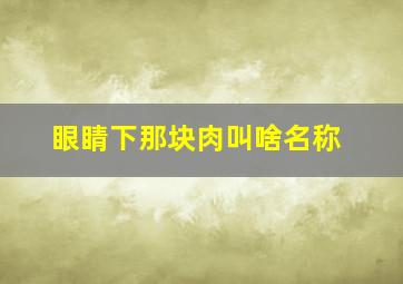 眼睛下那块肉叫啥名称