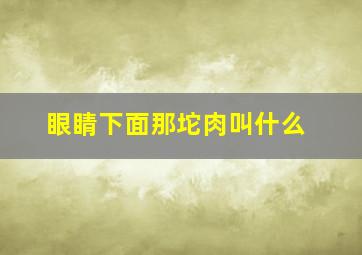 眼睛下面那坨肉叫什么