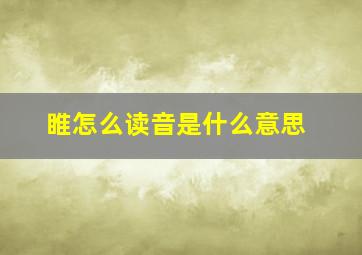 睢怎么读音是什么意思