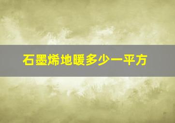 石墨烯地暖多少一平方