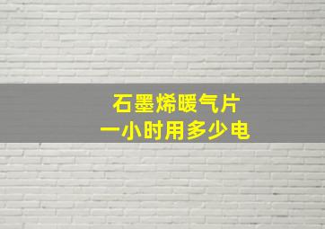 石墨烯暖气片一小时用多少电