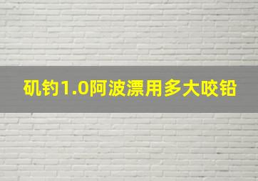 矶钓1.0阿波漂用多大咬铅