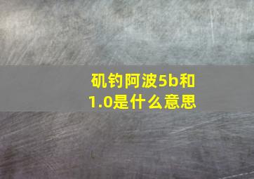 矶钓阿波5b和1.0是什么意思