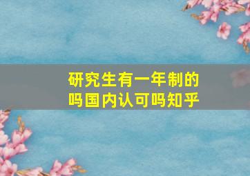 研究生有一年制的吗国内认可吗知乎