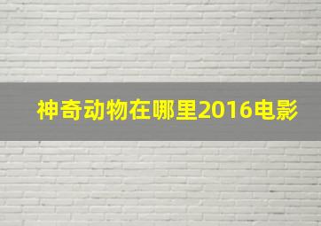 神奇动物在哪里2016电影