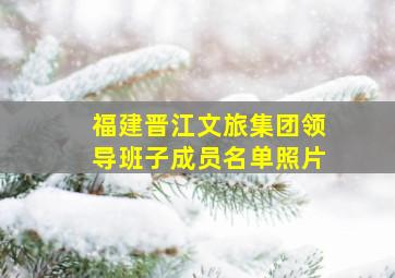 福建晋江文旅集团领导班子成员名单照片