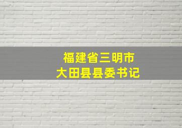 福建省三明市大田县县委书记