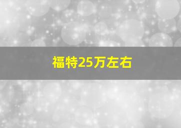 福特25万左右