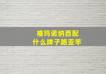 禧玛诺纳西配什么牌子路亚竿