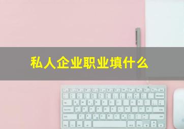 私人企业职业填什么