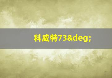 科威特73°