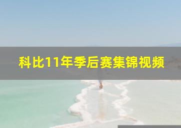 科比11年季后赛集锦视频