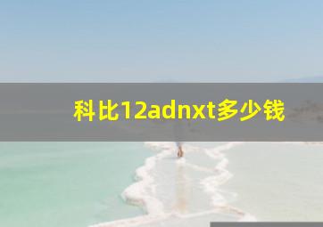 科比12adnxt多少钱