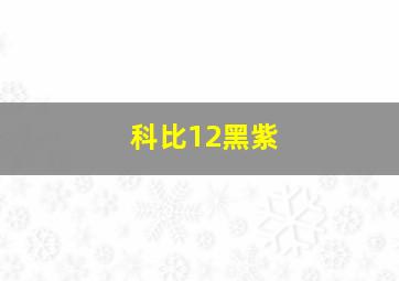 科比12黑紫