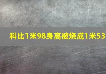 科比1米98身高被烧成1米53