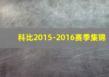 科比2015-2016赛季集锦