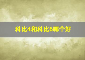 科比4和科比6哪个好