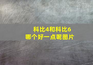 科比4和科比6哪个好一点呢图片