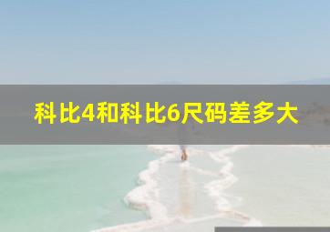 科比4和科比6尺码差多大