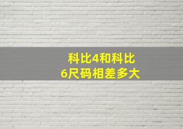 科比4和科比6尺码相差多大