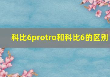 科比6protro和科比6的区别